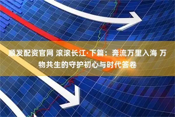 顺发配资官网 滚滚长江·下篇：奔流万里入海 万物共生的守护初心与时代答卷
