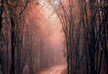 股票杠杆10倍平台:股票交易软件怎么看-无3C标识的相机电池能上飞机吗？北京、上海、广州等多地机场回应